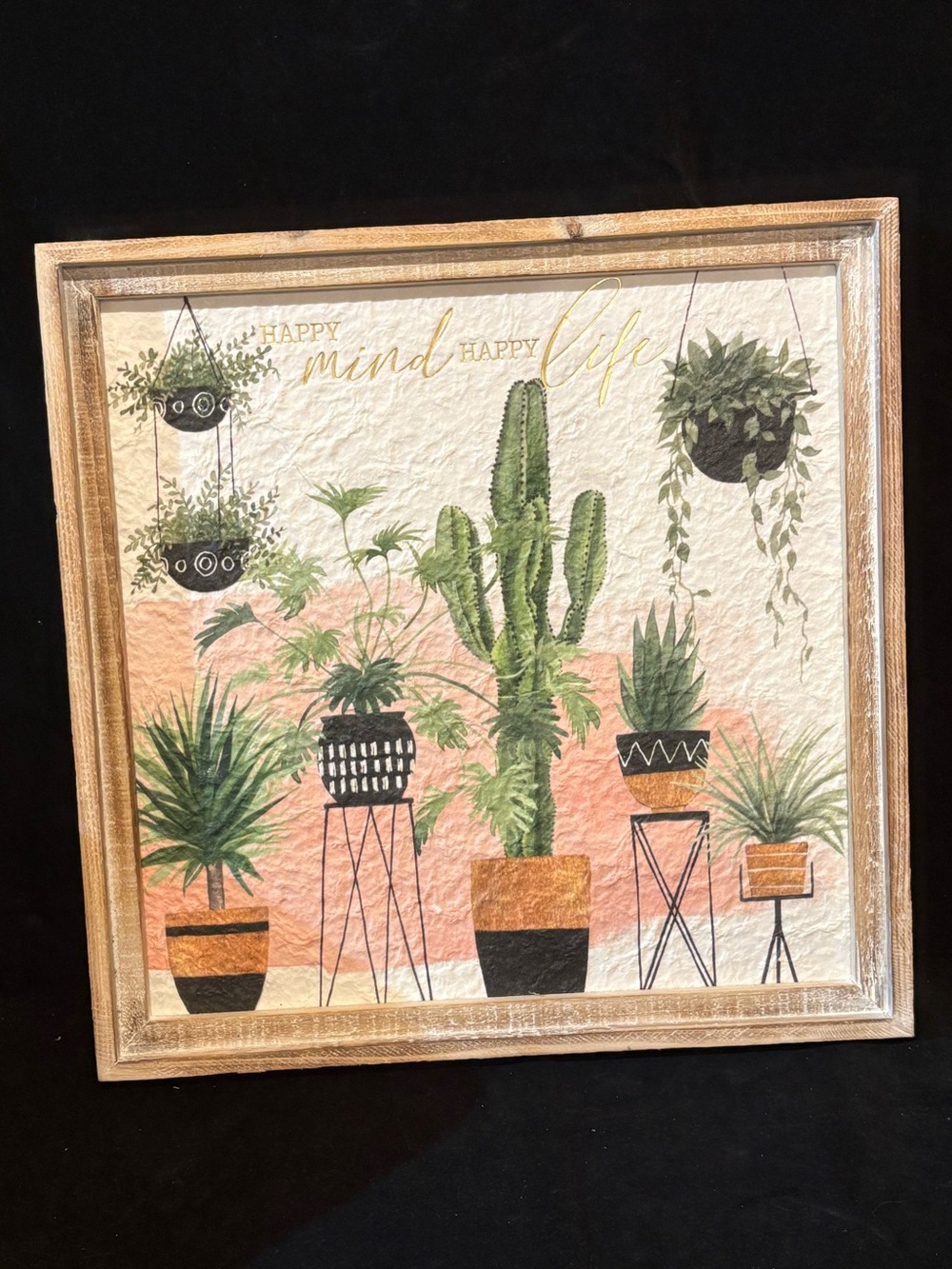 "Indoor Oasis II" Framed Painting Print by Grace Popp  Green Cactus & Succulent